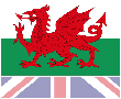 Welsh Flag