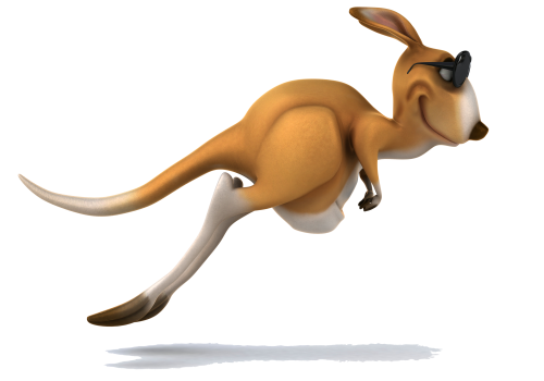 Kevin the Kangaroo